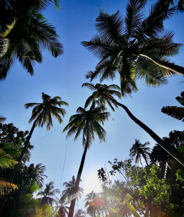Isana Beach House Tangalle Zewnętrze zdjęcie